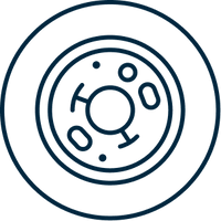 Microbiological safety